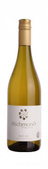 Richmond Plains Pinot Gris 2023